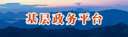 基层政务平台
