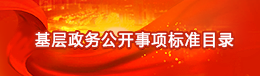政务公开标准化目录